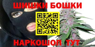 дживик Кингисепп