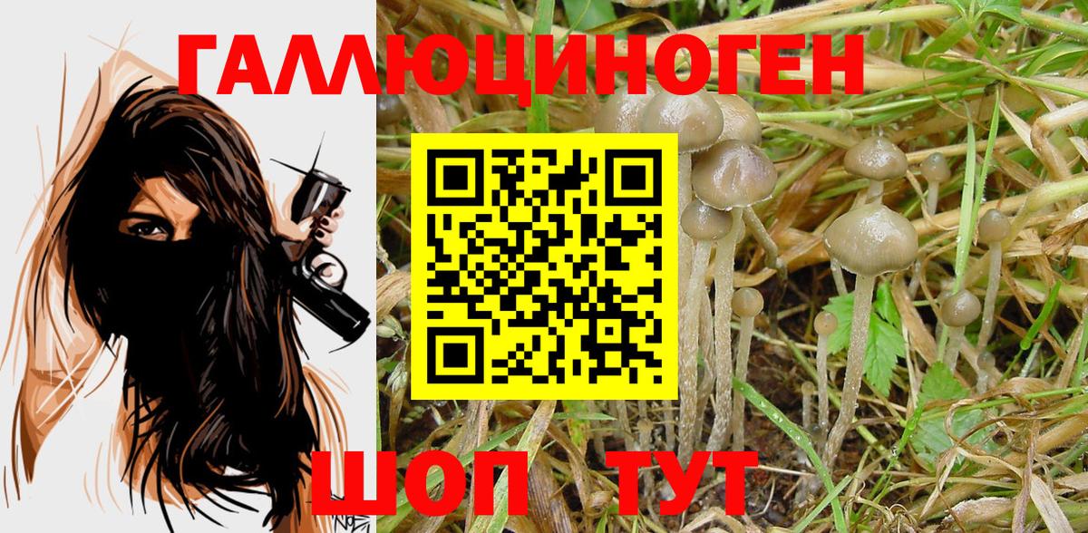 Галлюциногенные грибы Cubensis Кинель