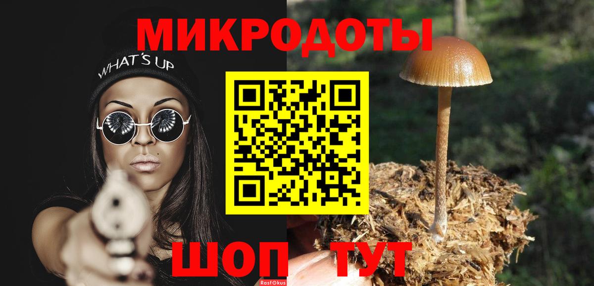 Псилоцибиновые грибы мухоморы  Вход с VPN  Галлюциногенные грибы мицелий  Кинель 