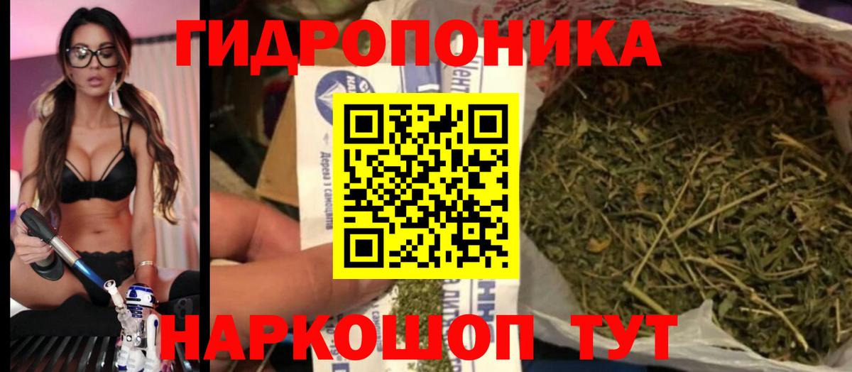 МАРИХУАНА индика Кинель
